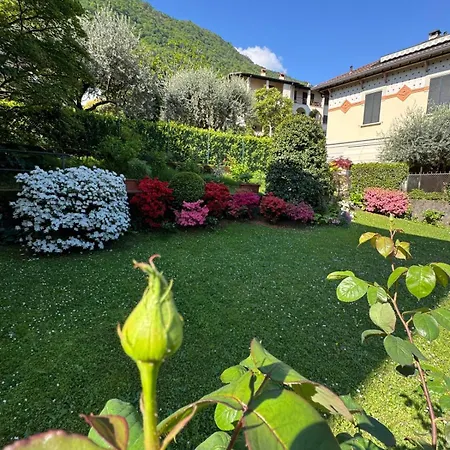 Limonta, Fiori E Private * Limonta