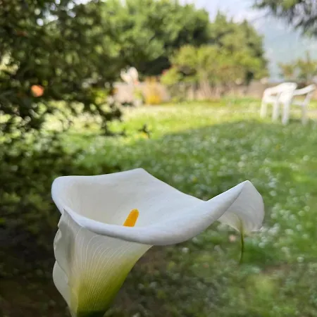Appartement Limonta, Fiori E Private