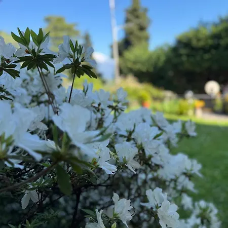Limonta, Fiori E Private Appartement *